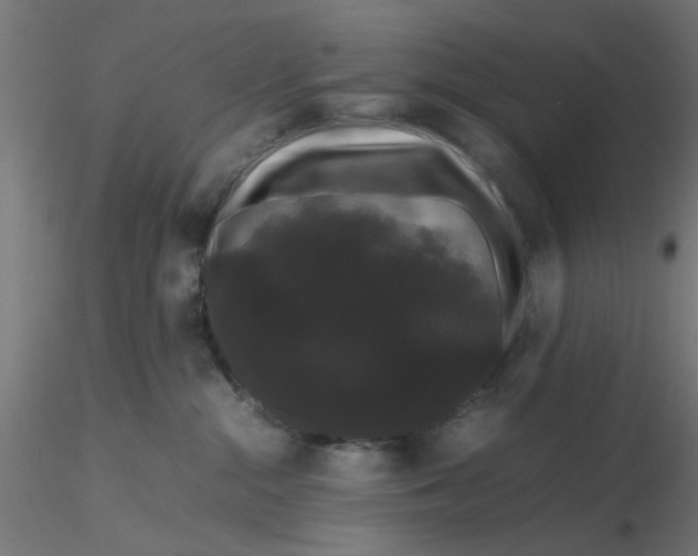 X0000116120284200912211700