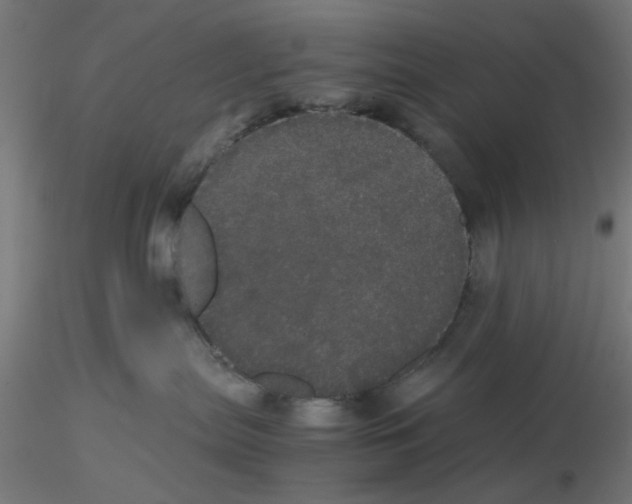 X0000116120287200912211700