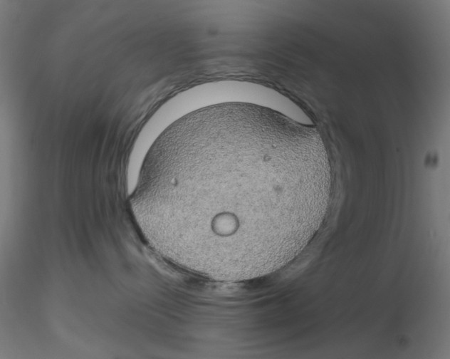 X0000116120288200912211700