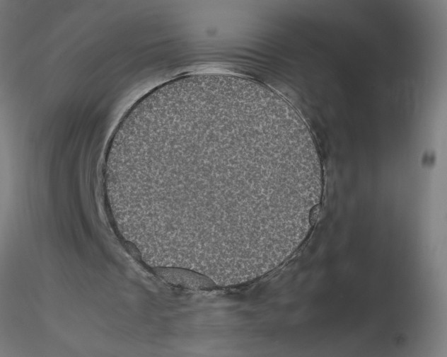 X0000116120289200912211700