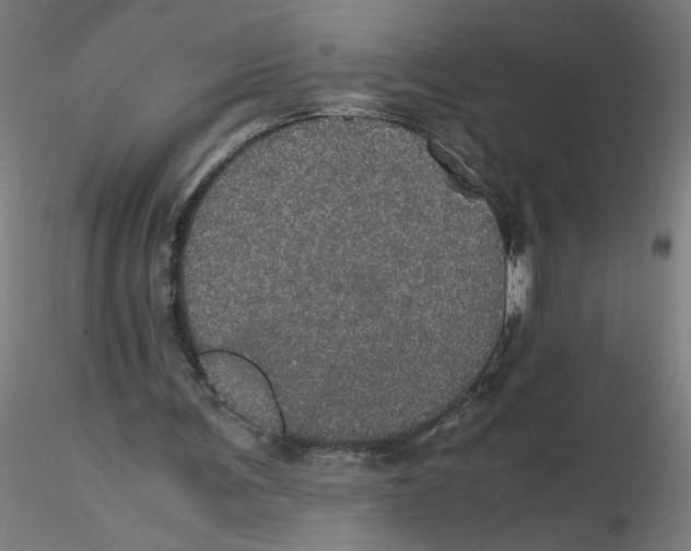 X0000116120291200912211700