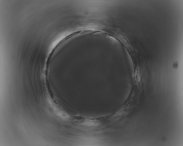 X0000116120292200912211700