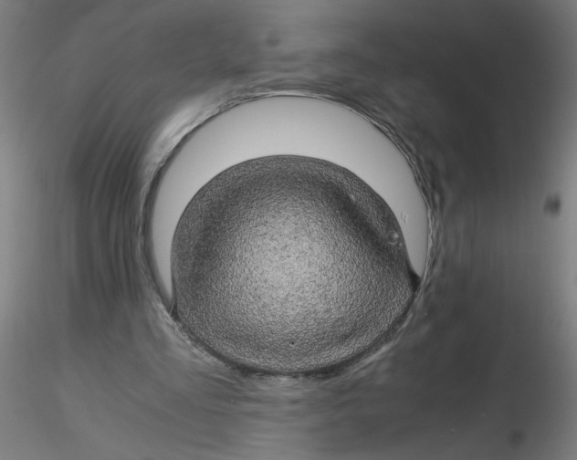 X0000116120293200912211659