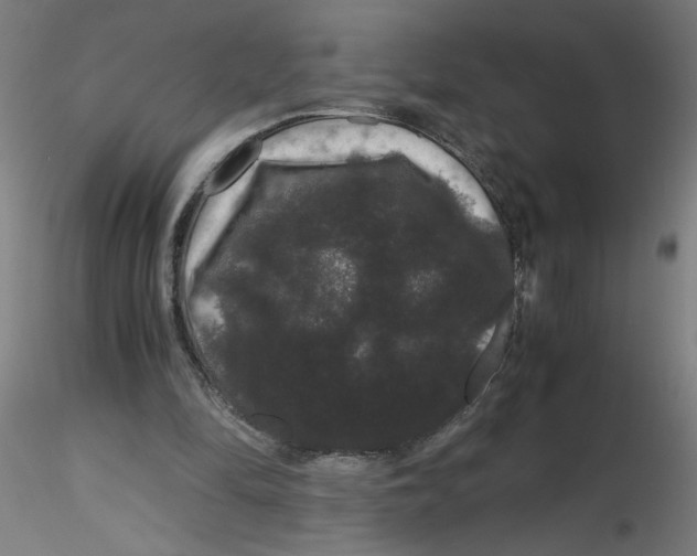 X0000116120294200912211659