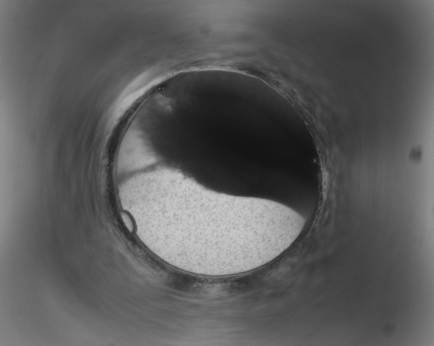 X0000116120295200912211659