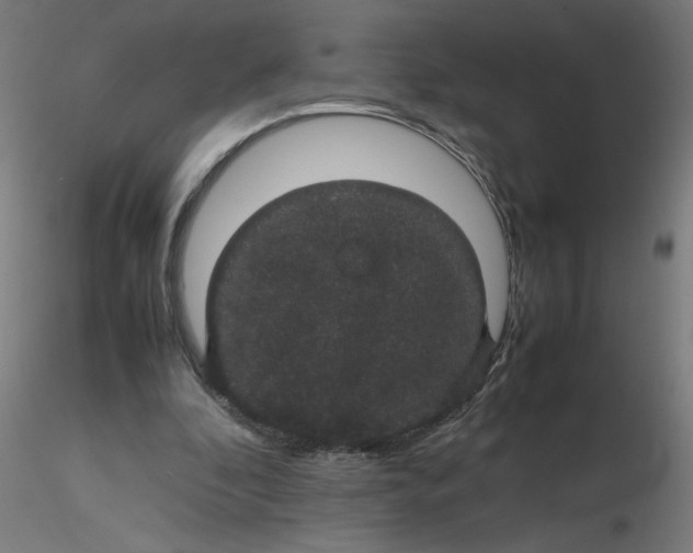 X0000116120296200912211659