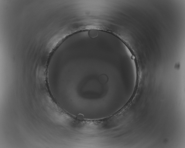 X0000116120297200912211659