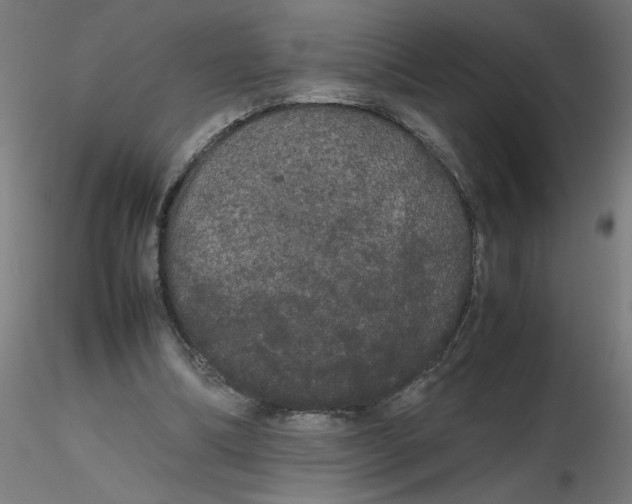 X0000116120298200912211659