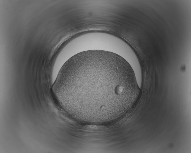 X0000116120300200912211659