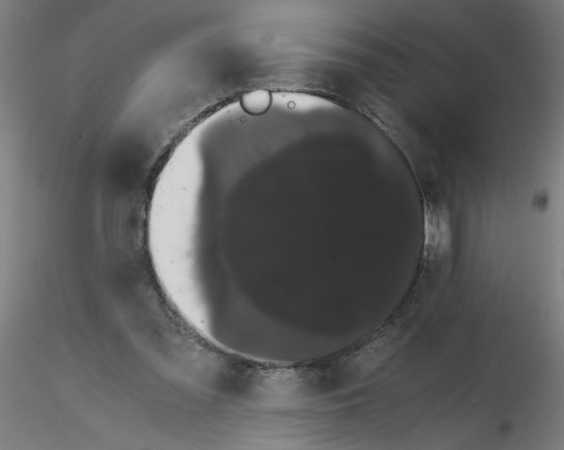 X0000116120301200912211659