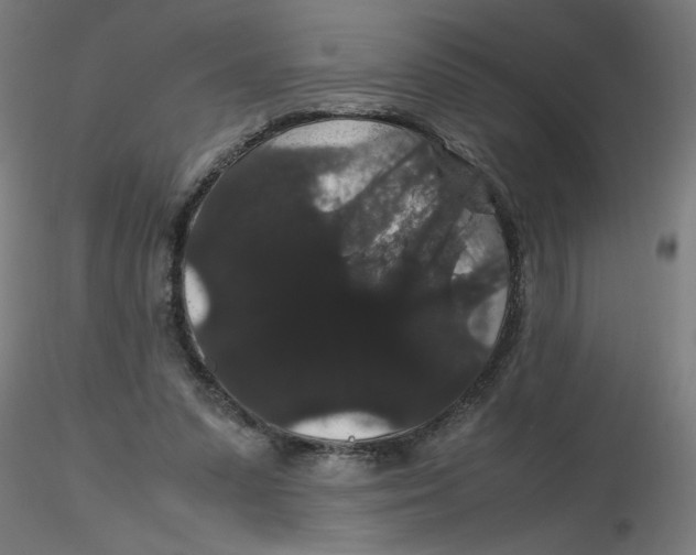 X0000116120303200912211659