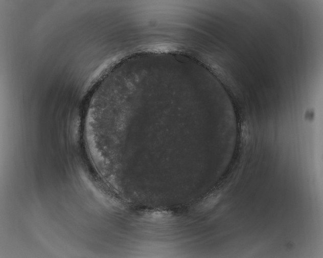 X0000116120304200912211659