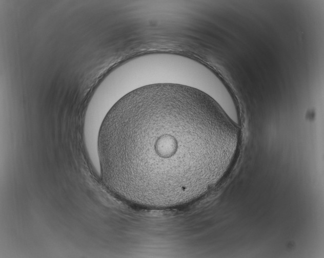 X0000116120305200912211659