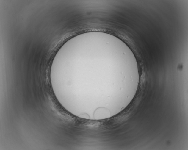 X0000116120306200912211659