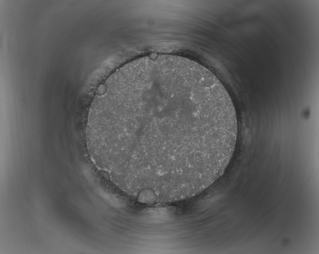 X0000116120307200912211659