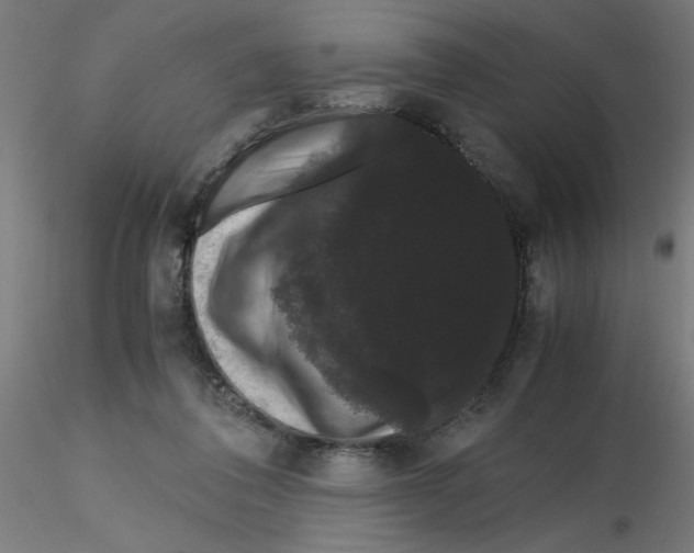X0000116120308200912211659