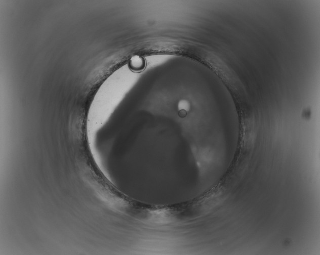 X0000116120309200912211659