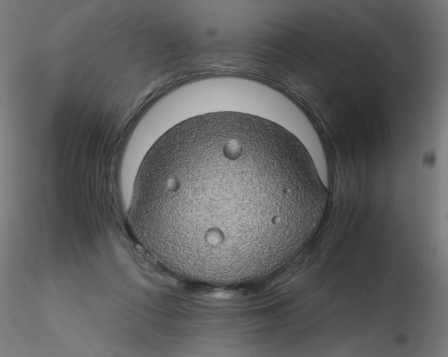 X0000116120312200912211659