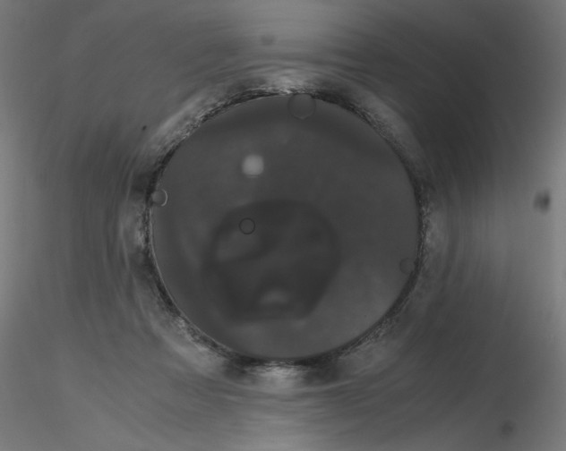X0000116120313200912211659
