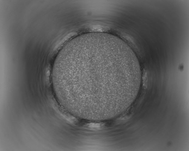 X0000116120314200912211659