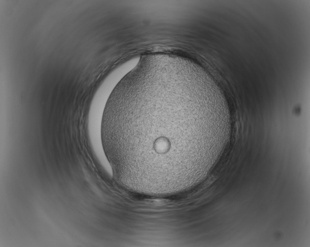 X0000116120316200912211659