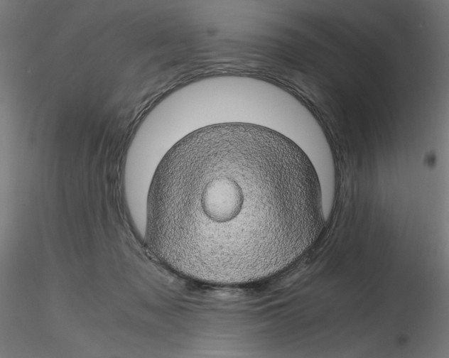 X0000116120317200912211659