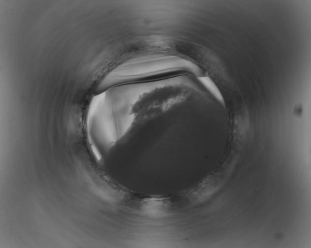 X0000116120320200912211659