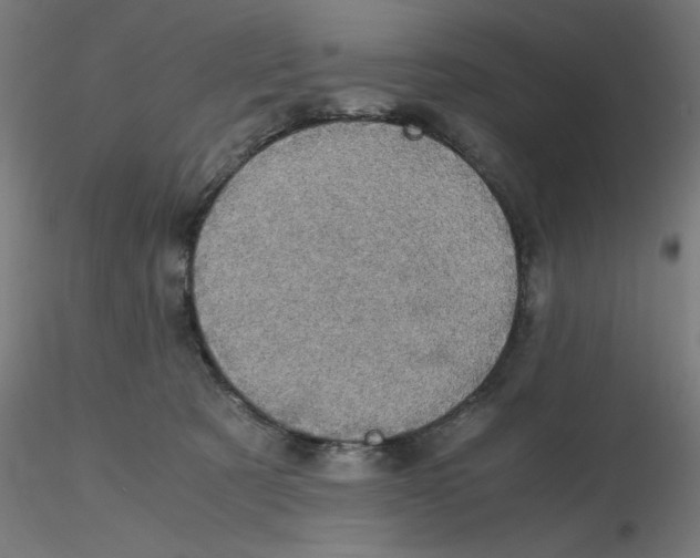 X0000116120321200912211659