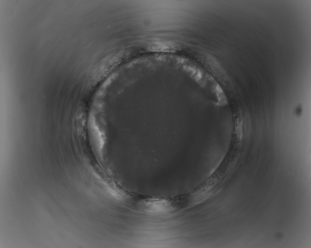 X0000116120322200912211659