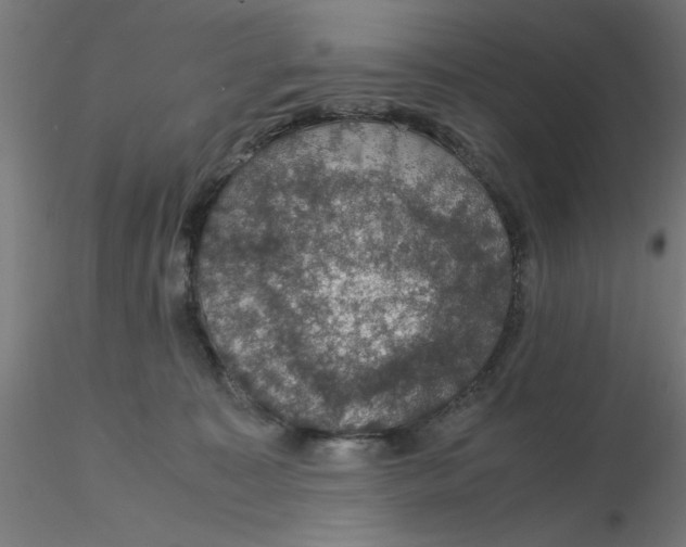 X0000116120323200912211659