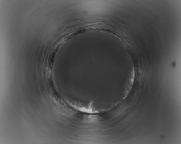 X0000116120324200912211659