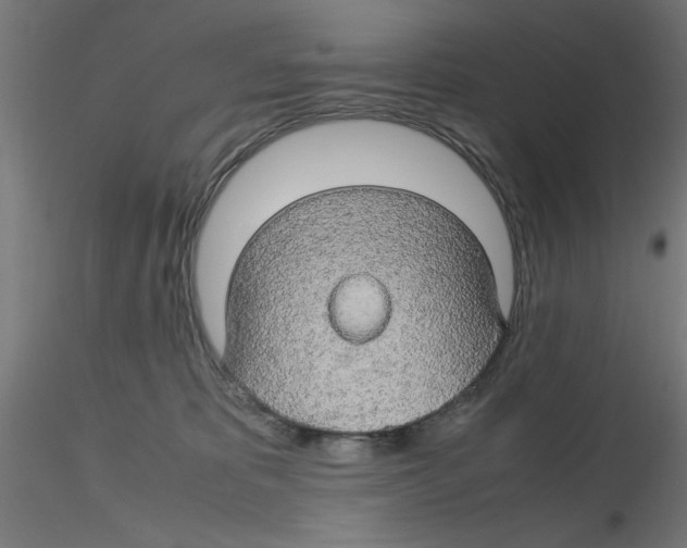 X0000116120325200912211659