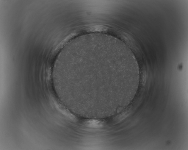 X0000116120326200912211659