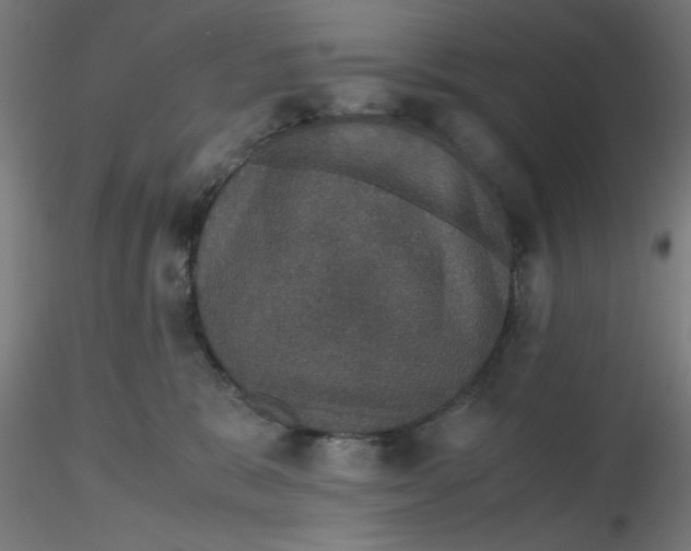 X0000116120327200912211659