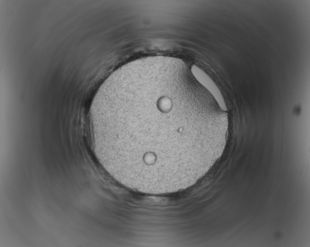 X0000116120328200912211659
