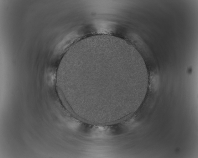 X0000116120329200912211659