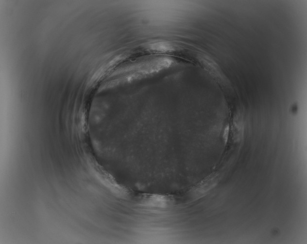 X0000116120330200912211659