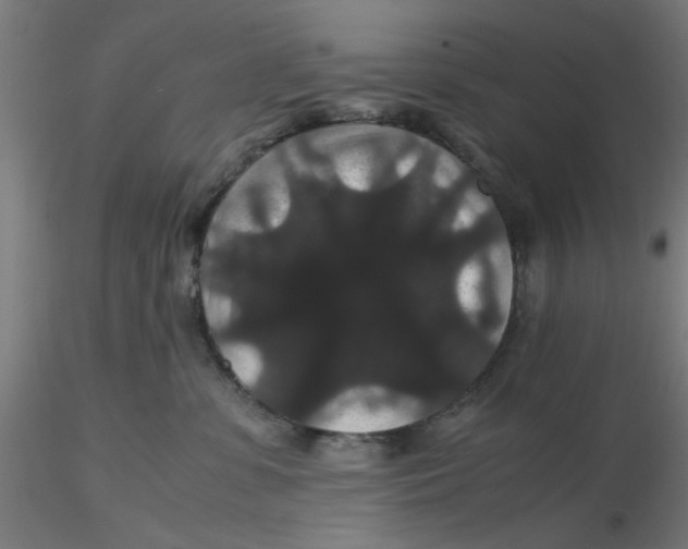 X0000116120331200912211659