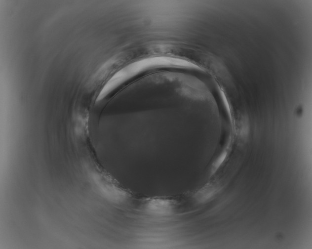 X0000116120332200912211659