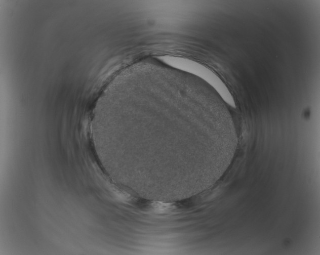 X0000116120333200912211659