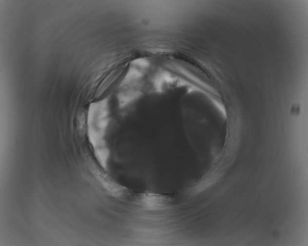X0000116120336200912211659