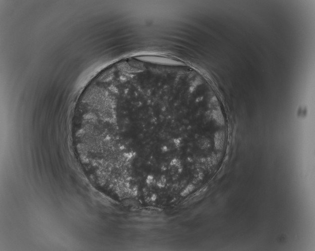 X0000116120337200912211658