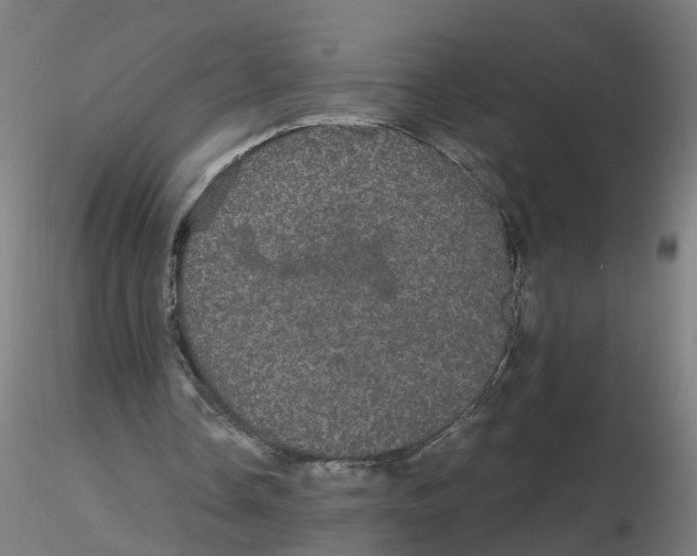 X0000116120338200912211658