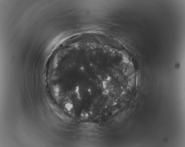 X0000116120339200912211658