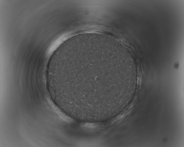 X0000116120341200912211658