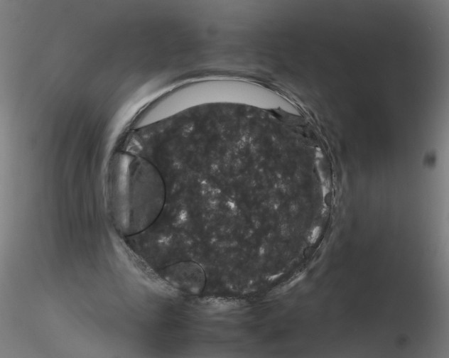 X0000116120343200912211658