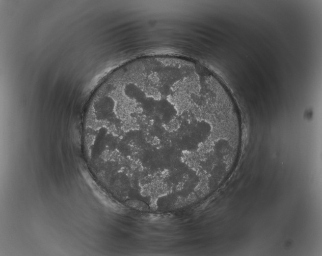 X0000116120345200912211658
