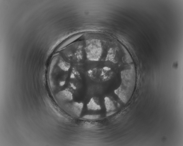 X0000116120346200912211658