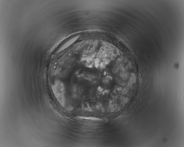 X0000116120347200912211658