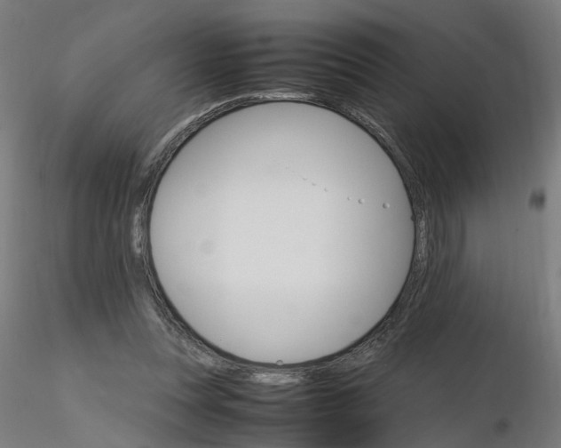 X0000116120351200912211658